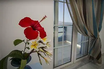Apartament Tripodis *
